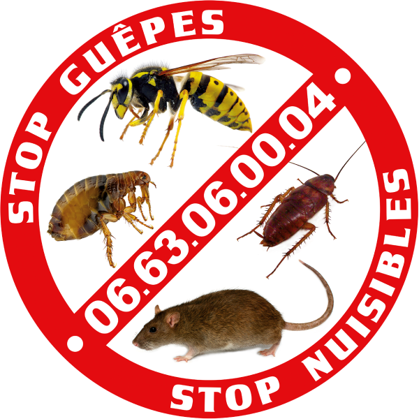 Stop Guêpes – Stop Nuisibles